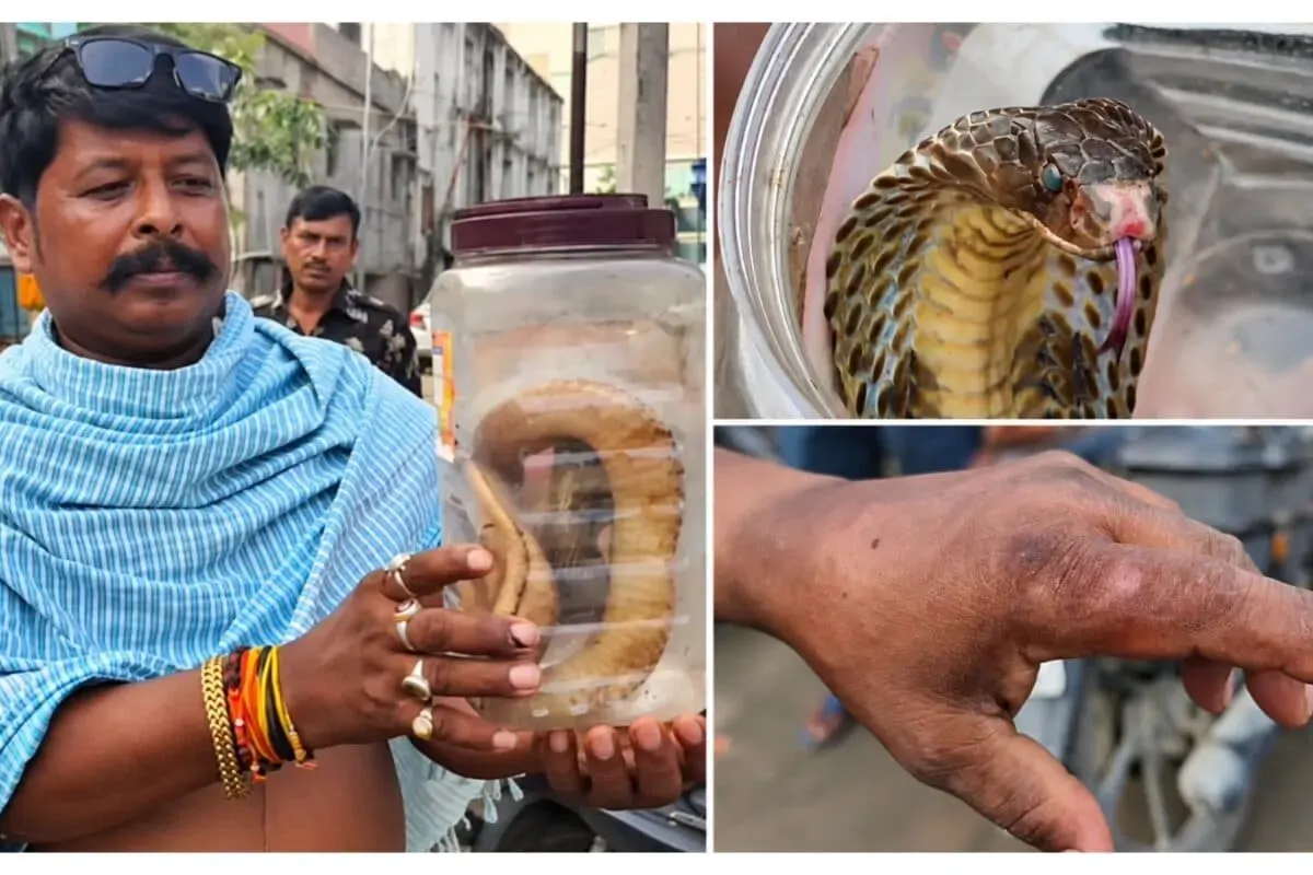 Ajab Gajab: गजब की हिम्मत! बच्चे को बचाने में नाग ने डंसा, फिर भी नहीं भागा; सांप को लेकर खुद पहुंचा अस्पताल