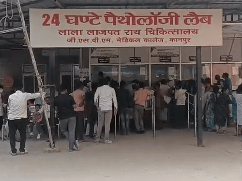 डेंगू के 271 मरीज मिले, 4 दिन में 24 केस:  कानपुर में मंधना, बिठूर और बिल्हौर में संक्रमण; स्वास्थ्य विभाग ने बचाव कार्य तेज किया