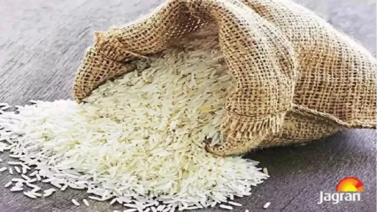 दरभंगा में चावल निगम के गोदाम में पहुंचा, पैक्स को भुगतान का इंतजार; पैसा मिले तो घटेगा ब्याज का बोझ
