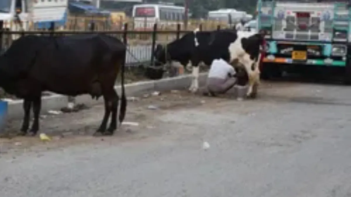 मुजफ्फरपुर में हाईवे पर गाड़ी खड़ी की तो जेब होगी ढीली, वाहन भी होगा जब्त