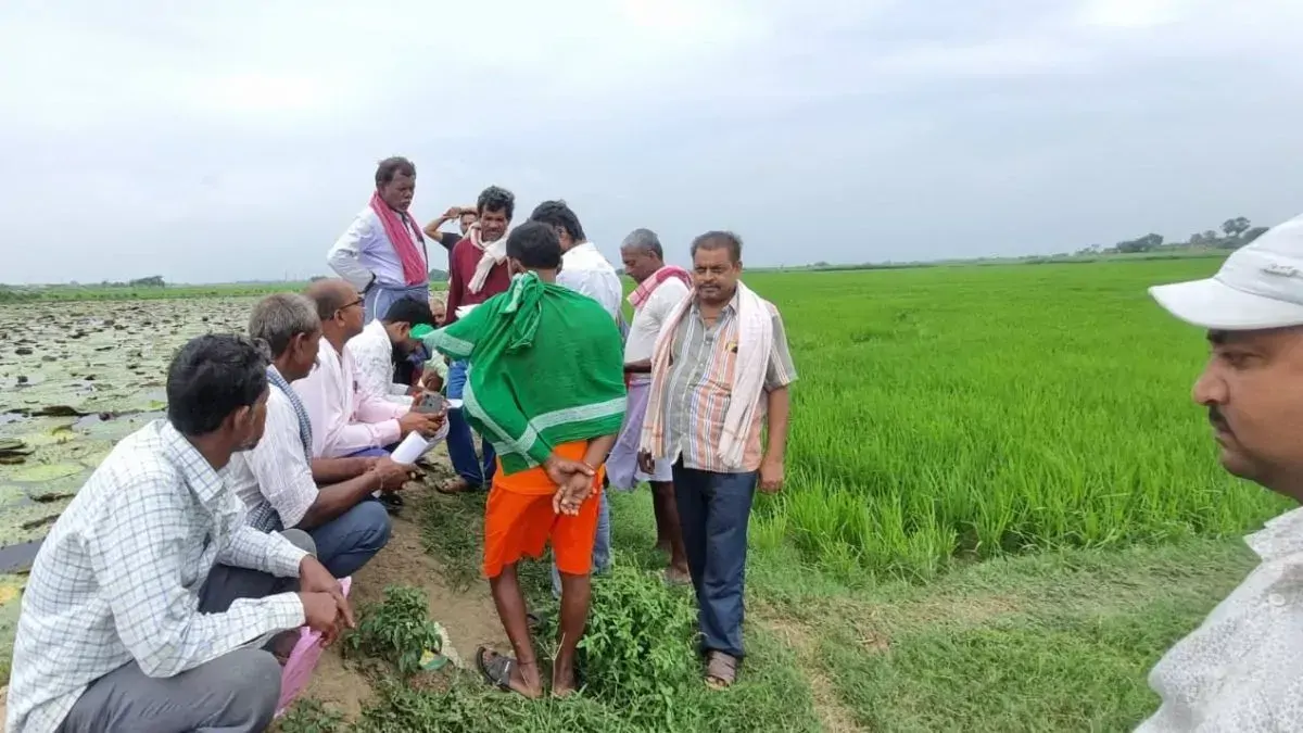 दरभंगा के किसान ध्यान दें, जमीन पर कब्जा नहीं, कागजात बताएंगे कौन है असली रैयत