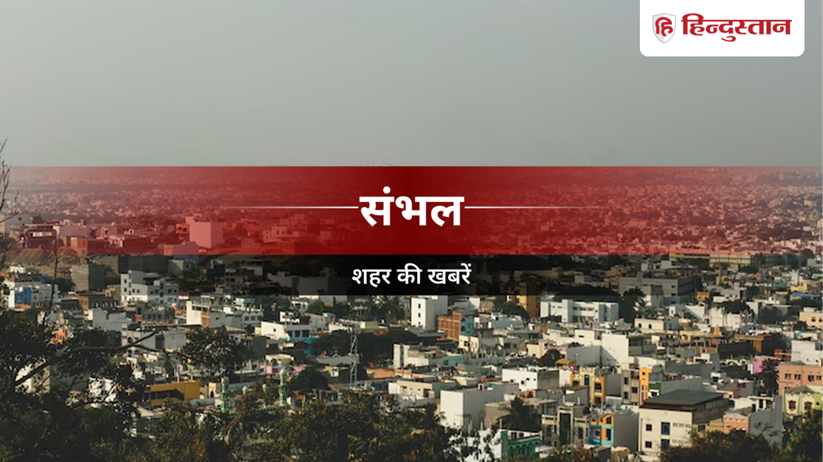 Sambhal News:  डेंगू-चिकनगुनिया की शिकायत पर हरकत में आया नगर पालिका व स्वास्थ्य विभाग