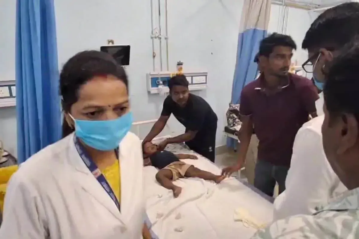 कोबरा ने ले ली 2 वर्ष के अभिमन्यु की जान, गोपालगंज के परिवार में मचा कोहराम